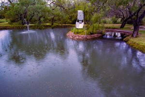 Fully Stocked Fishing Pond