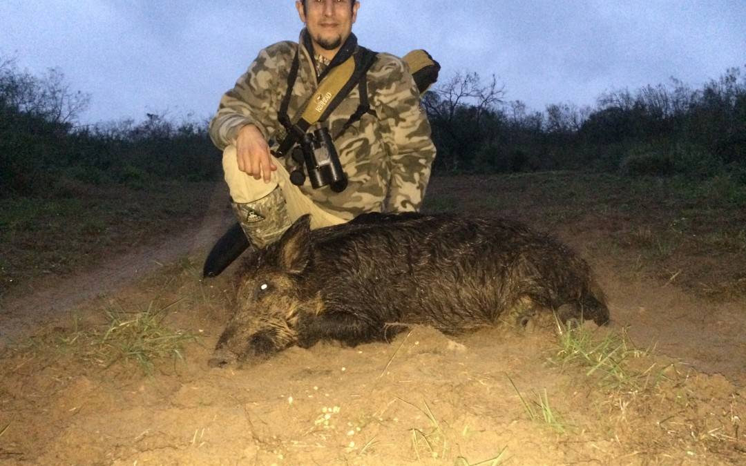 Hog Hunt!