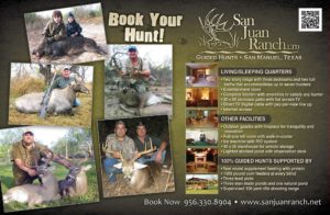 Guided Hunts